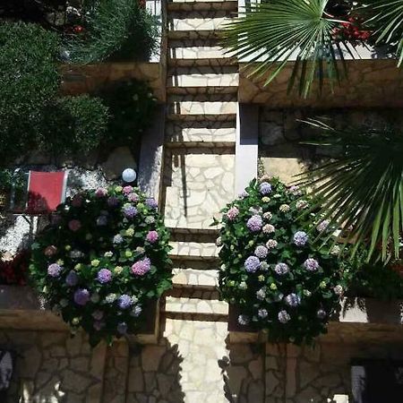 Apartmani Juric Vrsar Dış mekan fotoğraf